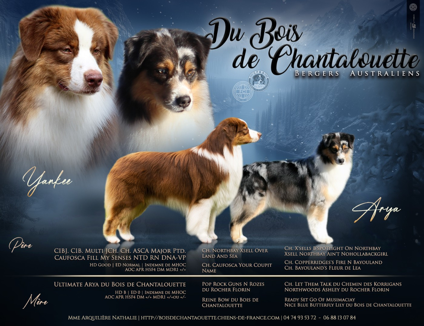 Présentation du Mariage 2026