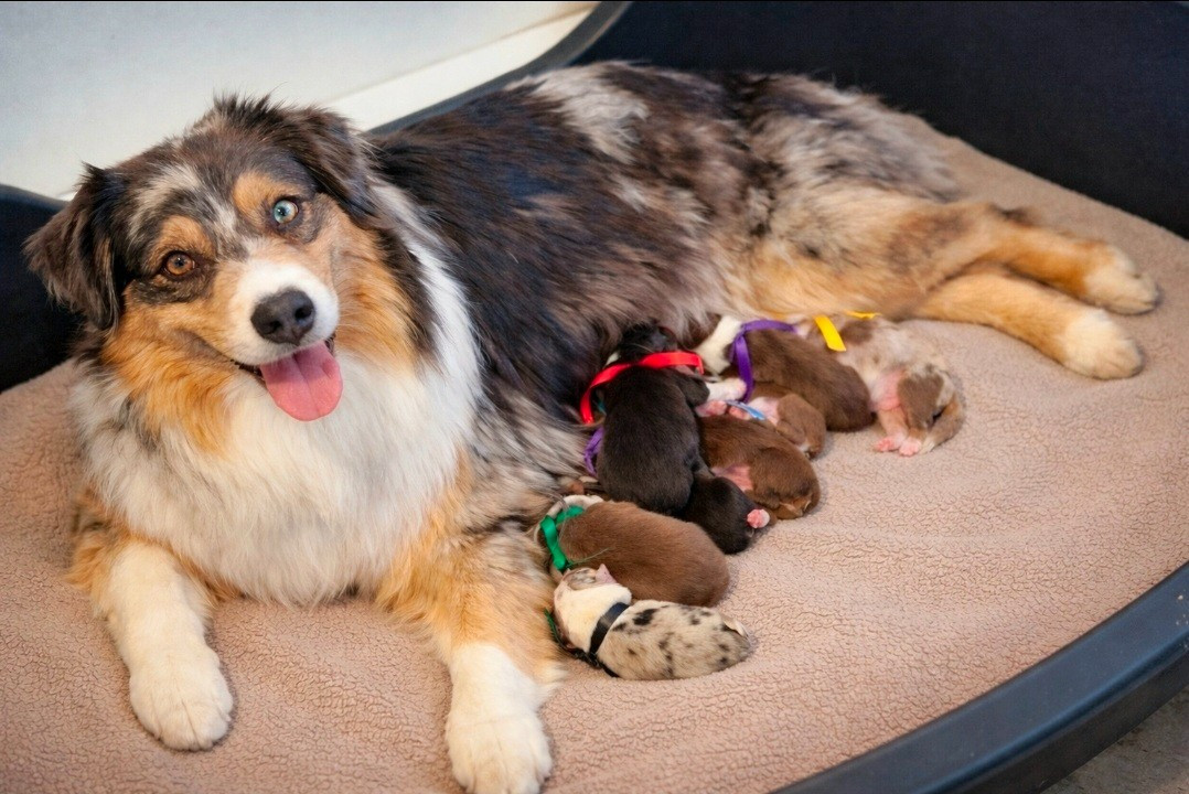 Naissances le 4 mars 2026