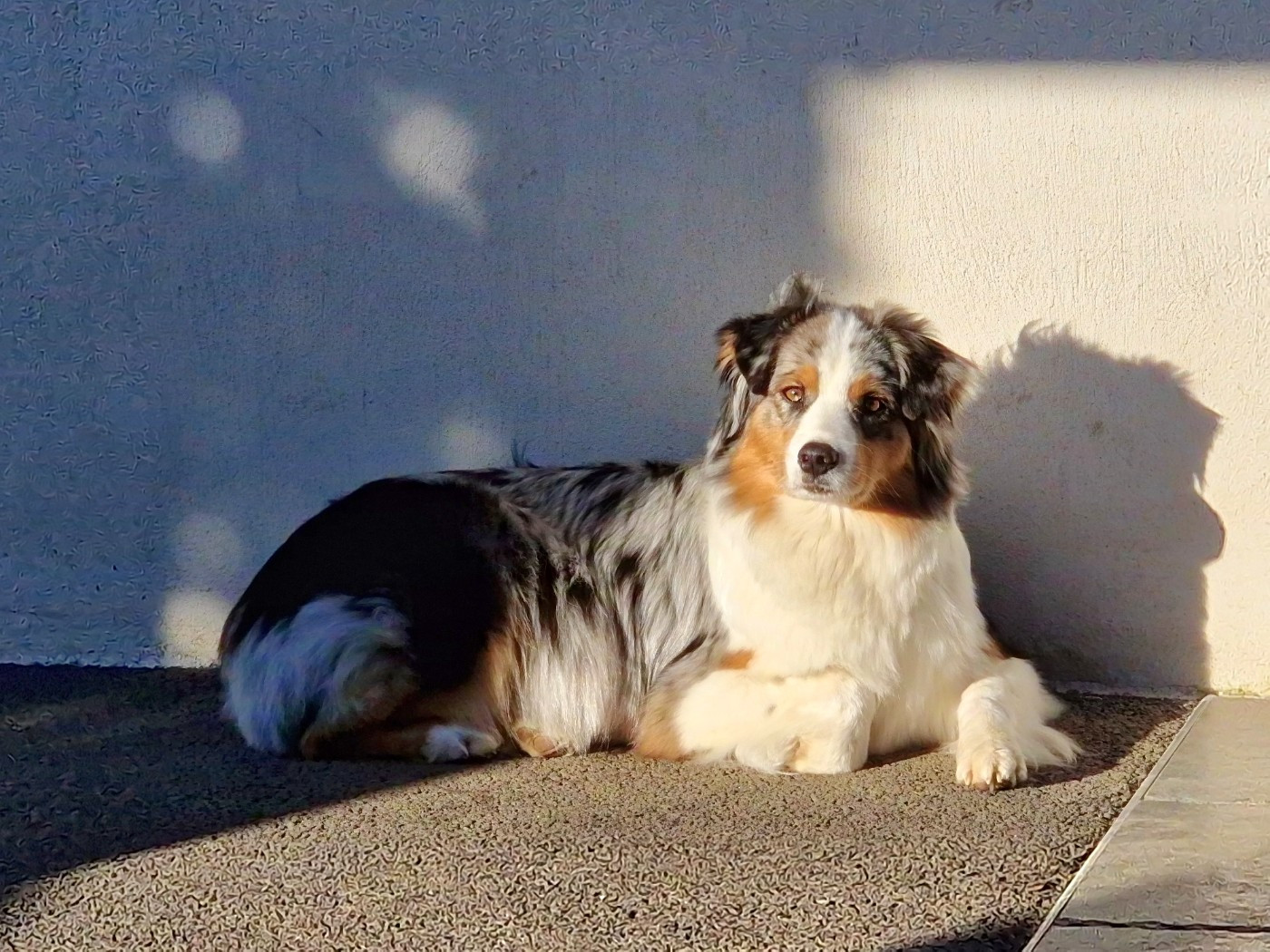 Nos bb grandissent....merci à vous !